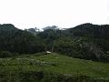 AUS01062009 (100)